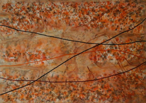 Thumbnail Placeholder